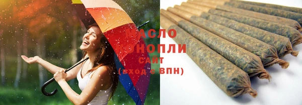 крисы Коряжма