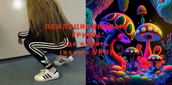 хмурый Костерёво