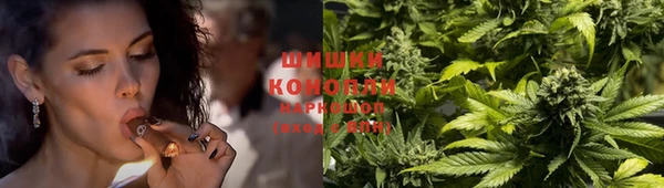 крисы Коряжма