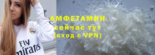 крисы Коряжма
