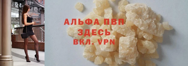 твердый Корсаков