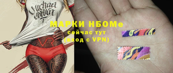 крисы Коряжма