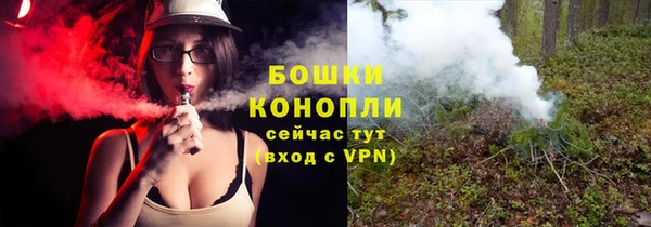 крисы Коряжма